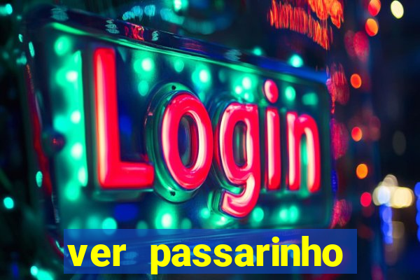 ver passarinho morto significado